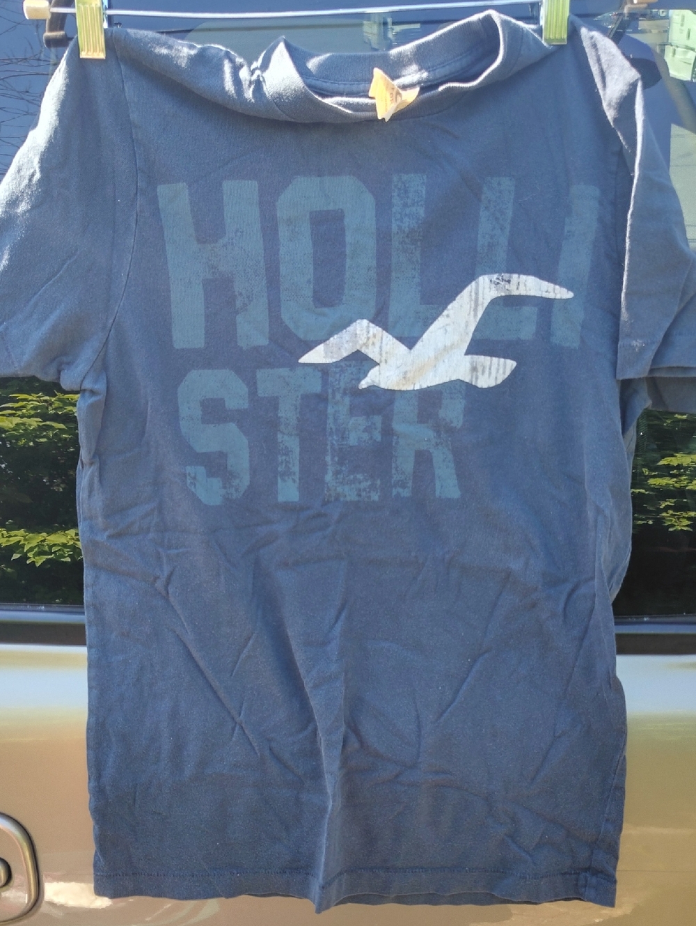 Hollister Navy Tee with White Seagull Logo
